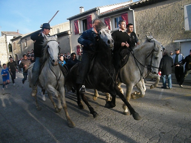 Saturargues le 20 , 27 et 28 Mars Toros_52