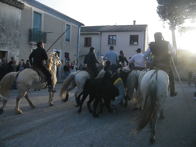 Saturargues le 20 , 27 et 28 Mars Toros_61