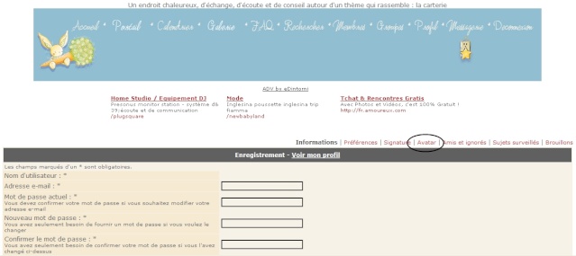 Comment installer un avatar? Avatar10