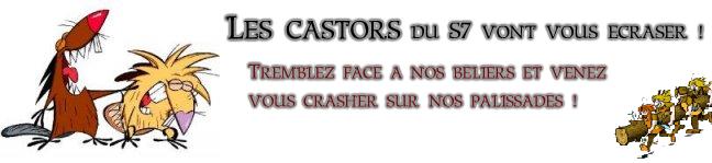 Les Castors