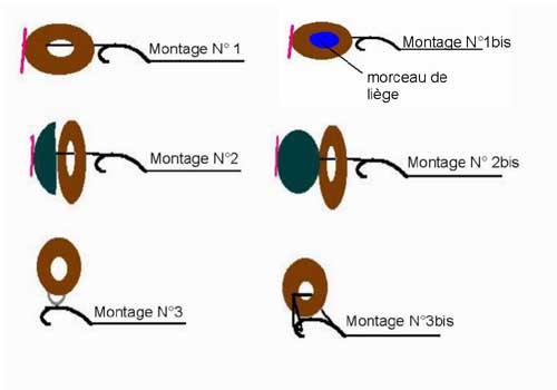 Conseil frolic Frol210