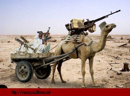 الجيش العربي فين Jpg10