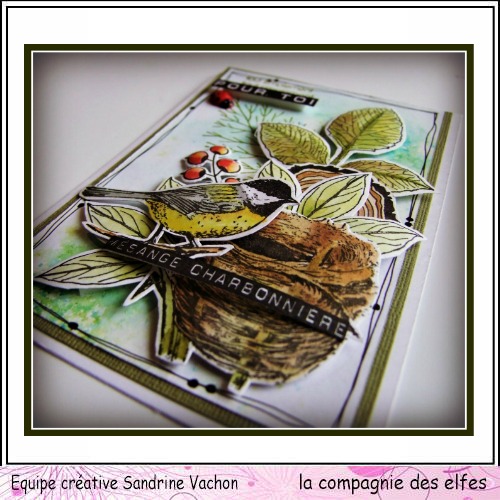 Cartes de Mars 2019. 217