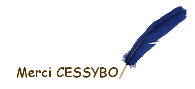 Tours d'hier - Souvenez-vous ! Cessyb27