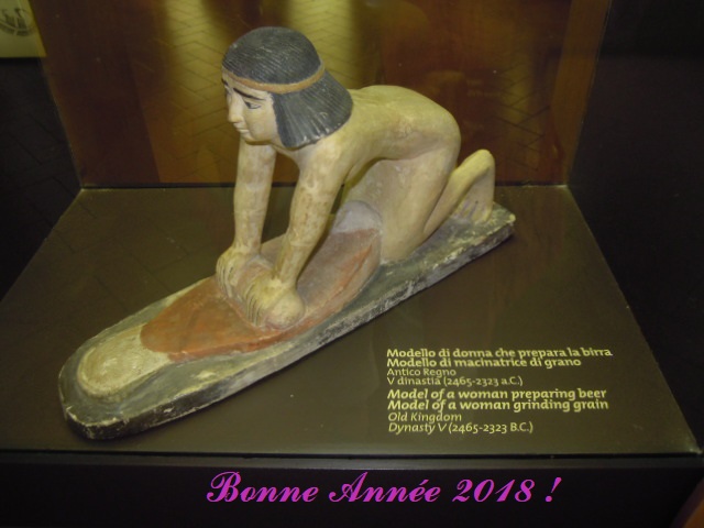 Bonne et heureuse année 2018 à toutes et tous Dscn3510