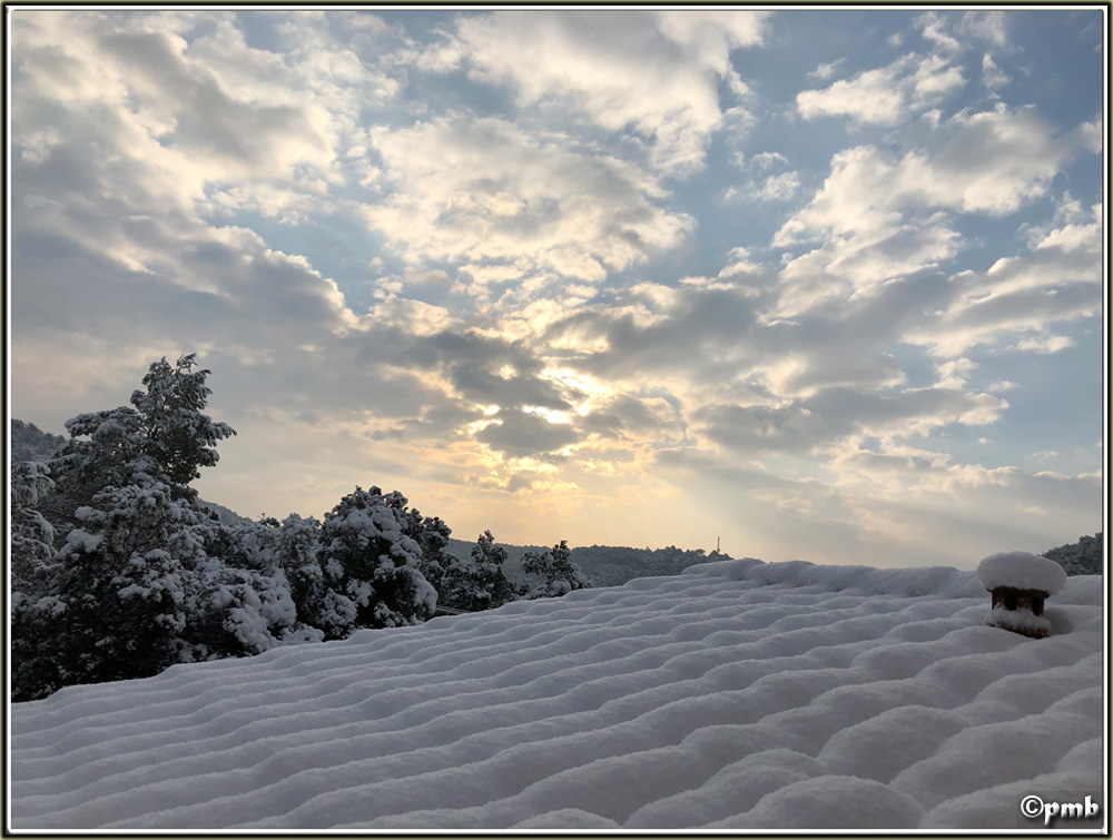 Il neige en Provence ! (avec quelques fleurs) 2018-084