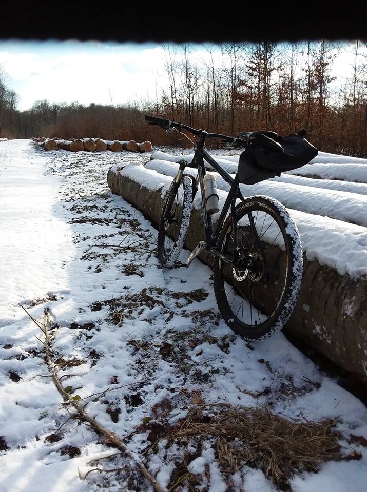 Mes sorties à vtt... - Page 20 28471310