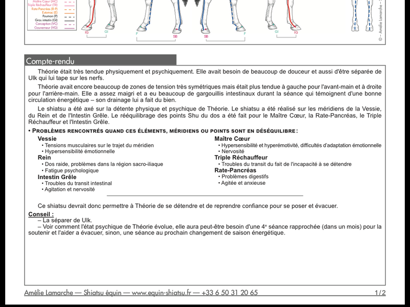 Théorie TF 10 ans, à adopter ! - Page 3 Image13