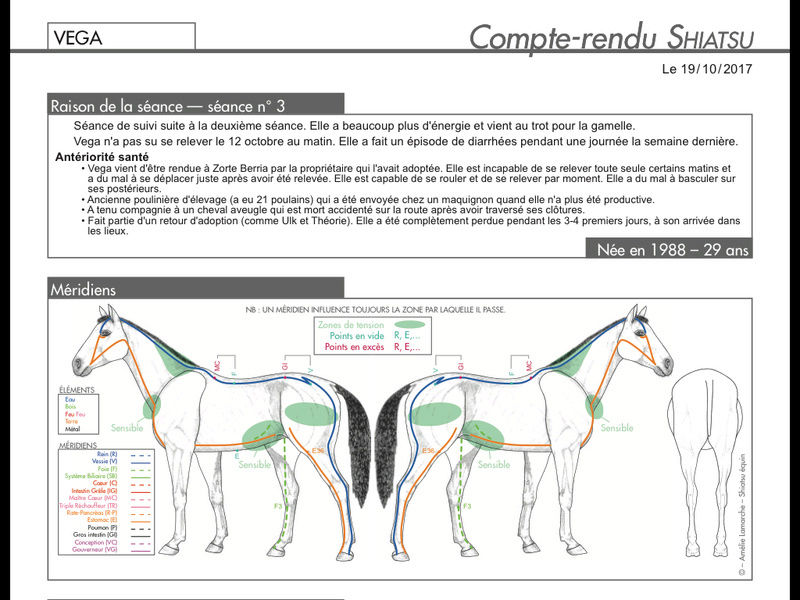 Vega, 30 ans de retour à l'asso  - Page 21 Image41