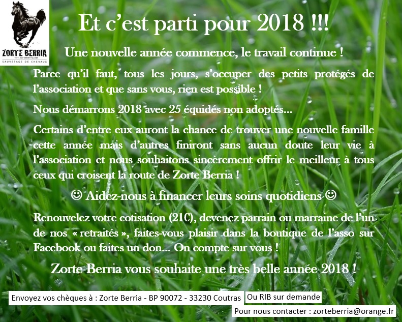 Bonne Année 2018 ! Voeux_10