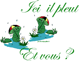 Décembre 2018 Pluie710