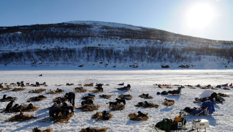 Finnmarklopet 2015 277