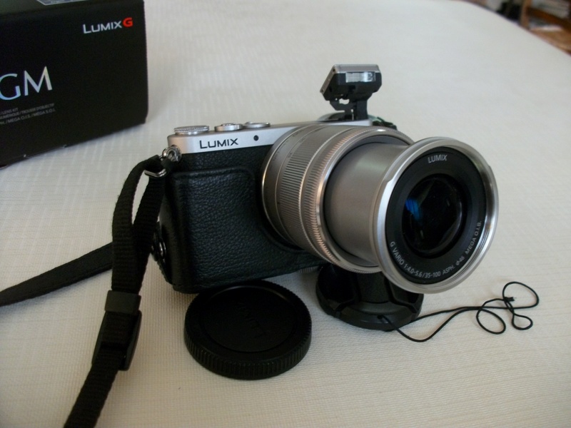  VENDU :Vends Lumix GM DMC-GM1K Imgp6728