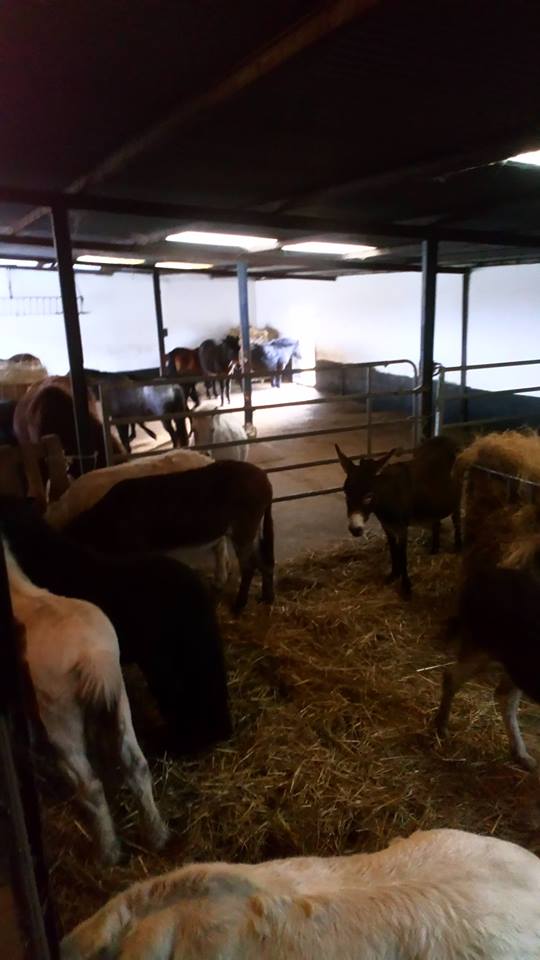 Refuge de Sologne 23167710