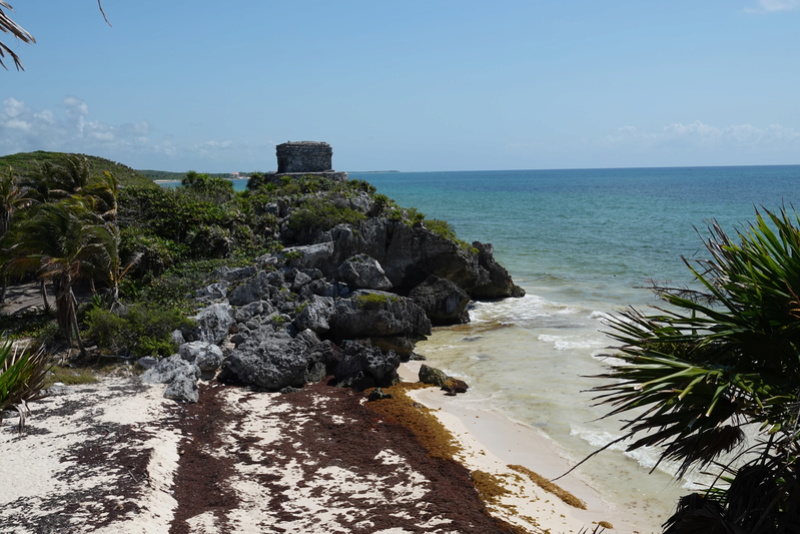 LES RUINES DE TULUM Dsc00910