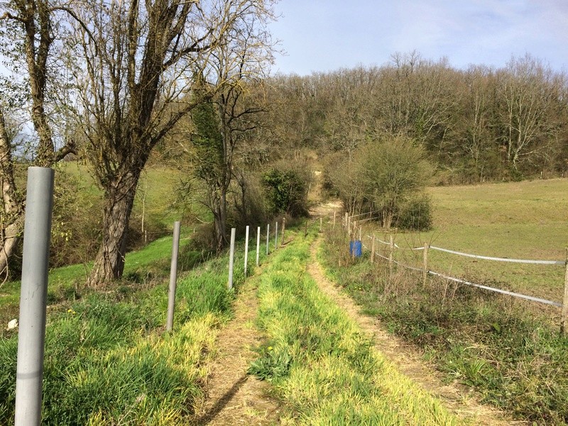 Chemin communal et mairie.... Img_0013