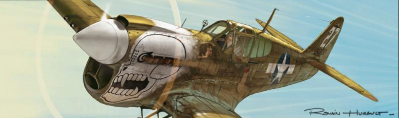 P 40 Warhawks “The Burma Banshees” Captu197