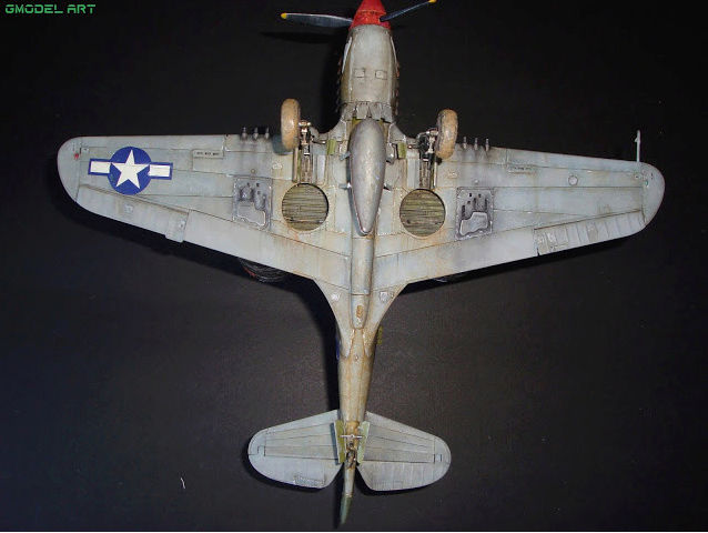 P 40 Warhawks “The Burma Banshees” Captu759