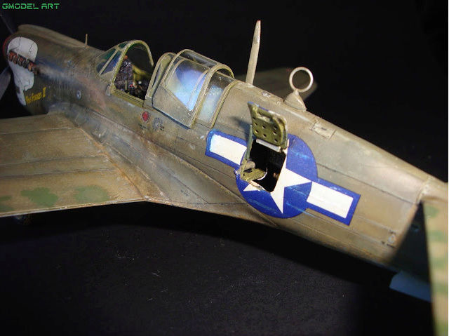 P 40 Warhawks “The Burma Banshees” Captu769
