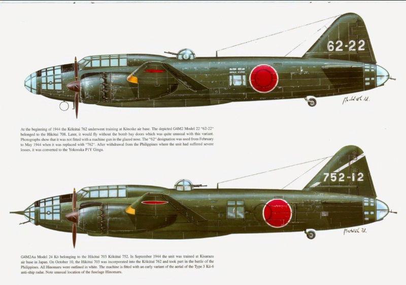 P 40 Warhawks “The Burma Banshees” Captu771