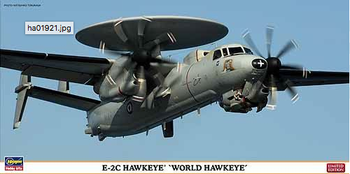 Gruman Hawkeye E-2C Captur28