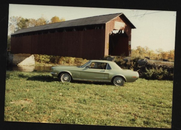 Montréal Mustang dans le temps! 1981 à aujourd'hui (Histoire en photos) 1981mm38