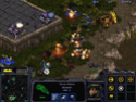 [WINDOWS] Starcraft Starcr16