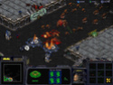 [WINDOWS] Starcraft Starcr17