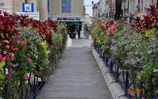 Martigues, ville fleurie (13) Martig13