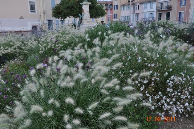Martigues, ville fleurie (13) Martig14