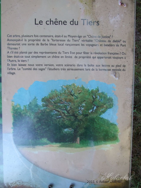 Arbres remarquables - Page 4 4610