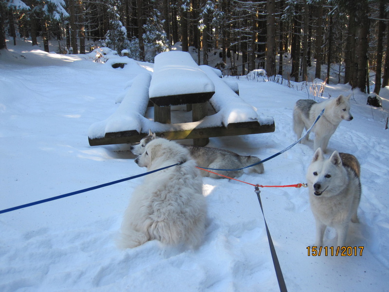 Saskia, Jiro, et leurs copains 911