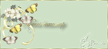 04-Cours Psp- Amy Merci_10
