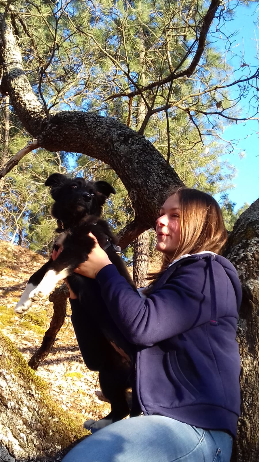 UTAH - chiot femelle, de petite taille à l'âge adulte - née environ en octobre 2020 - REMEMBER ME LAND - Adoptée par Sophie (84) Img-2049