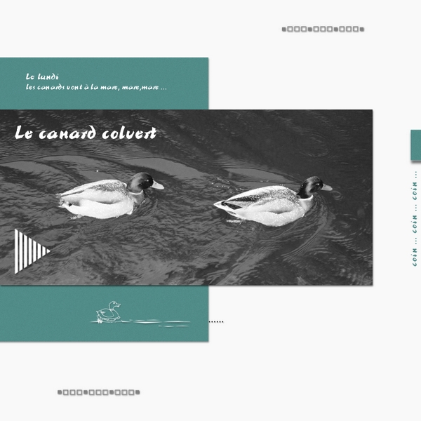 Challenge Visiteurs n°1 Canard11