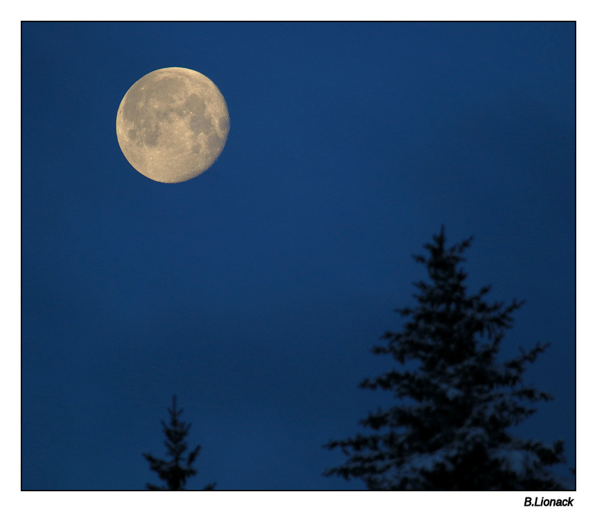 Ce matin à ma fenêtre Moon10