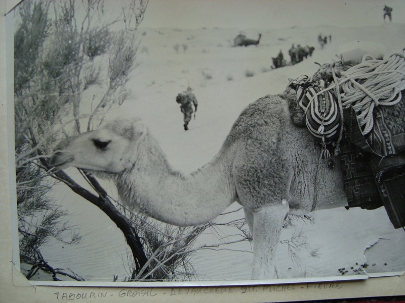 Photos souvenir  de l'Algérie en guerre 55/58 - Page 2 Dsc00105