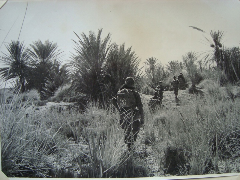 Photos souvenir  de l'Algérie en guerre 55/58 Dsc00735