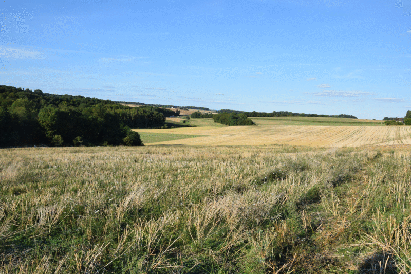 Cailloux Papa Dsc_0320