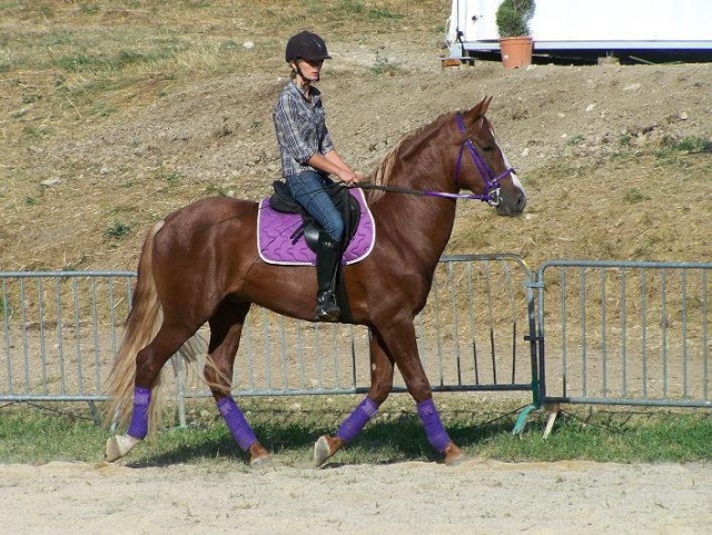 Vends ENTIER ESPAGNOL....4ans...SUPER model et caractere Concou11