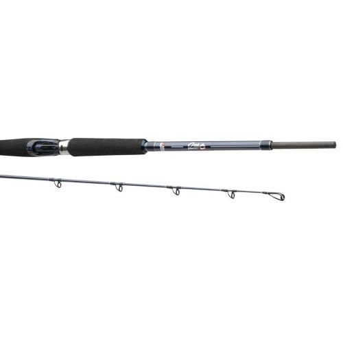 Light Bass Rod S-l50010