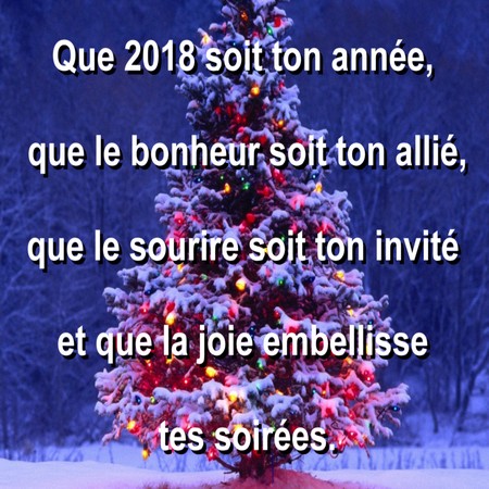 BONNE ANNEE 2018 !! A413