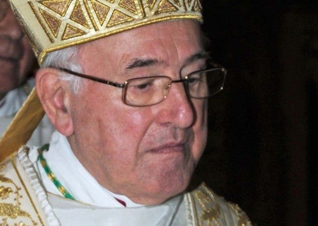 Cardinal Burke : Pas de "correction formelle" car Brandmüller s'est débiné ! 381aqr10