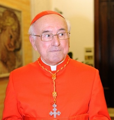 Cardinal Brandmüller : Les défenseurs d'une seconde liaison maritale sont excommuniés ! Cardin10