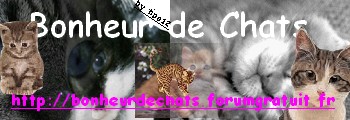 BdC, Bonheur de Chats=>site informatif sur les chats Logo211