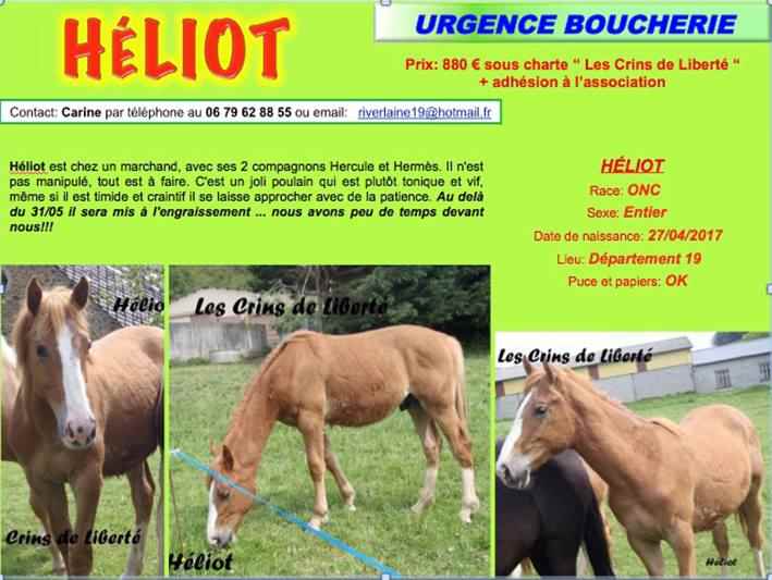 Dept19-11 mois-HELIOT- ONC- réservé par Cécile45 !!! (nov 2018) Heliot11