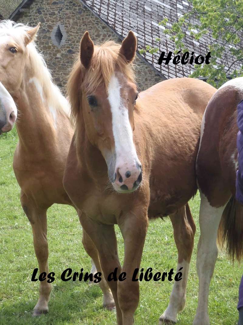 Dept19-11 mois-HELIOT- ONC- réservé par Cécile45 !!! (nov 2018) - Page 3 Hyliot13