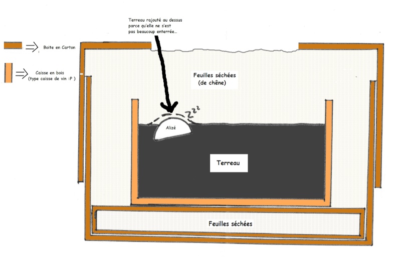 Fait dodo, Alizé ma 'tite soeureuh! Schema10