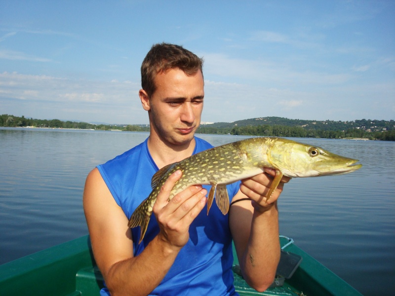 Petit brochet étrange Dsc01618