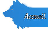 Accueil